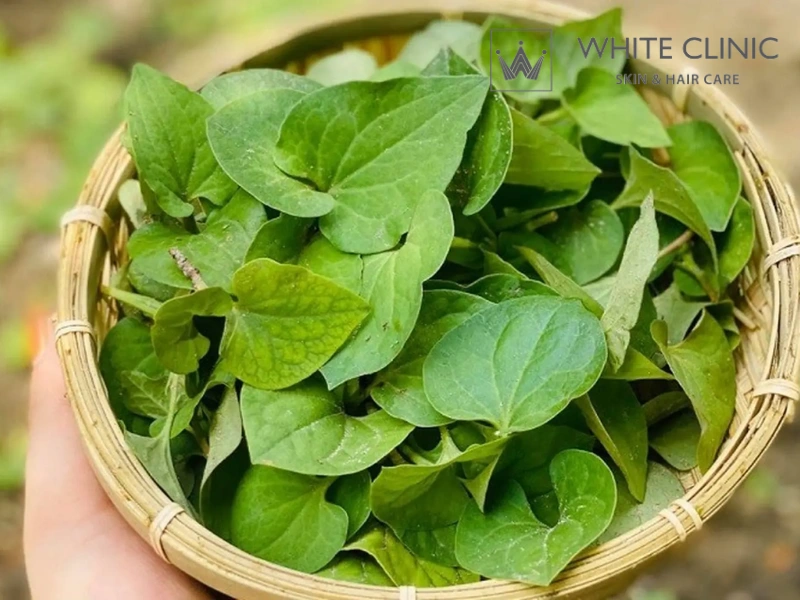 rau diếp cá trị mụn