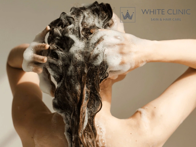 Dầu Gội Trị Gàu: Hướng Dẫn Lựa Chọn Hoạt Chất Phù Hợp Với Từng Loại Da Đầu